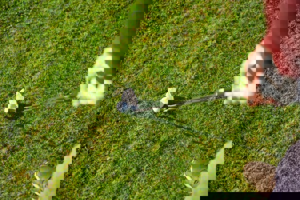 Tellus Consectetur Euismod