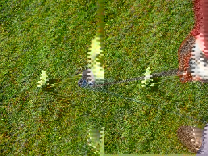 Tellus Consectetur Euismod