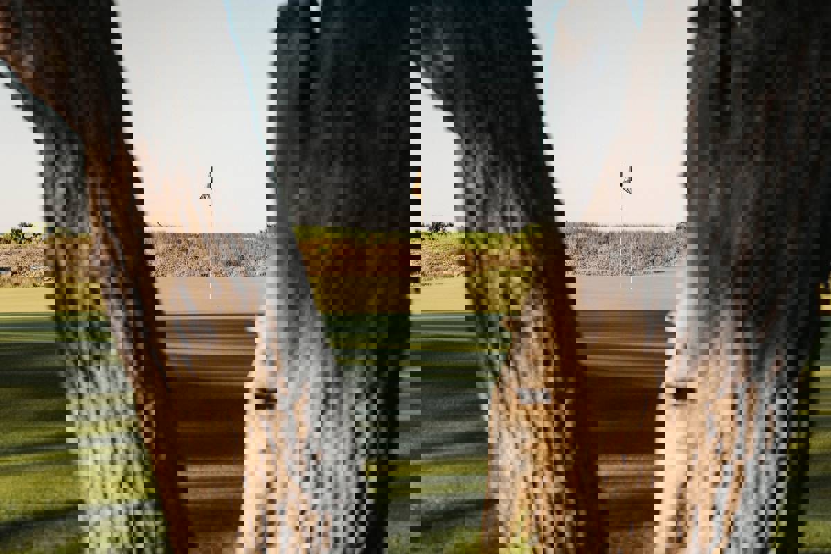 Andrew Shelley Dz0dk56m DY Unsplash