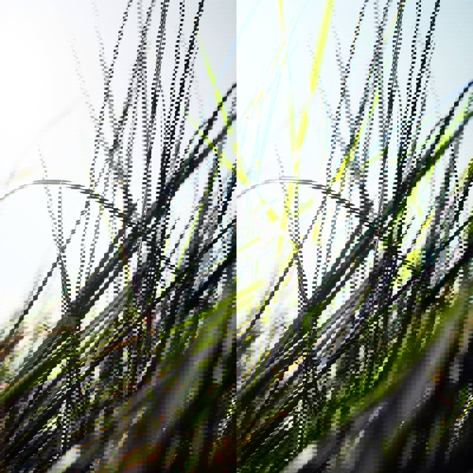 Aliaksei Vxwapvivt9e Unsplash