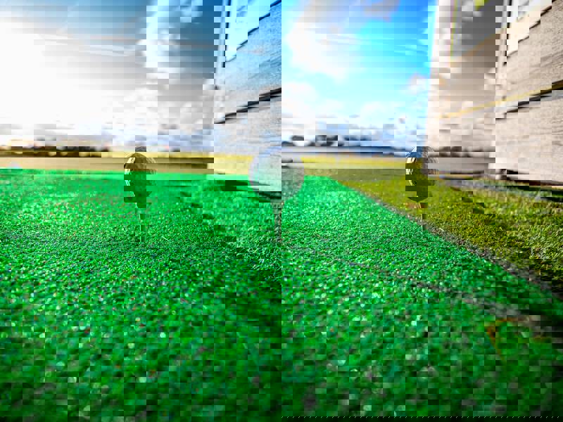 Albatross GK jubilerar med ny design från Dizparc